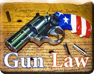 7270-gun-law2