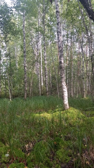 Photo023
